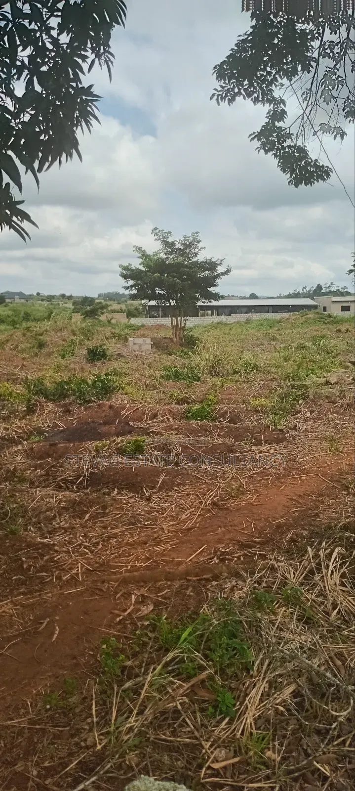 Land for Sale at Amasaman ASHIFLA Akutiaku