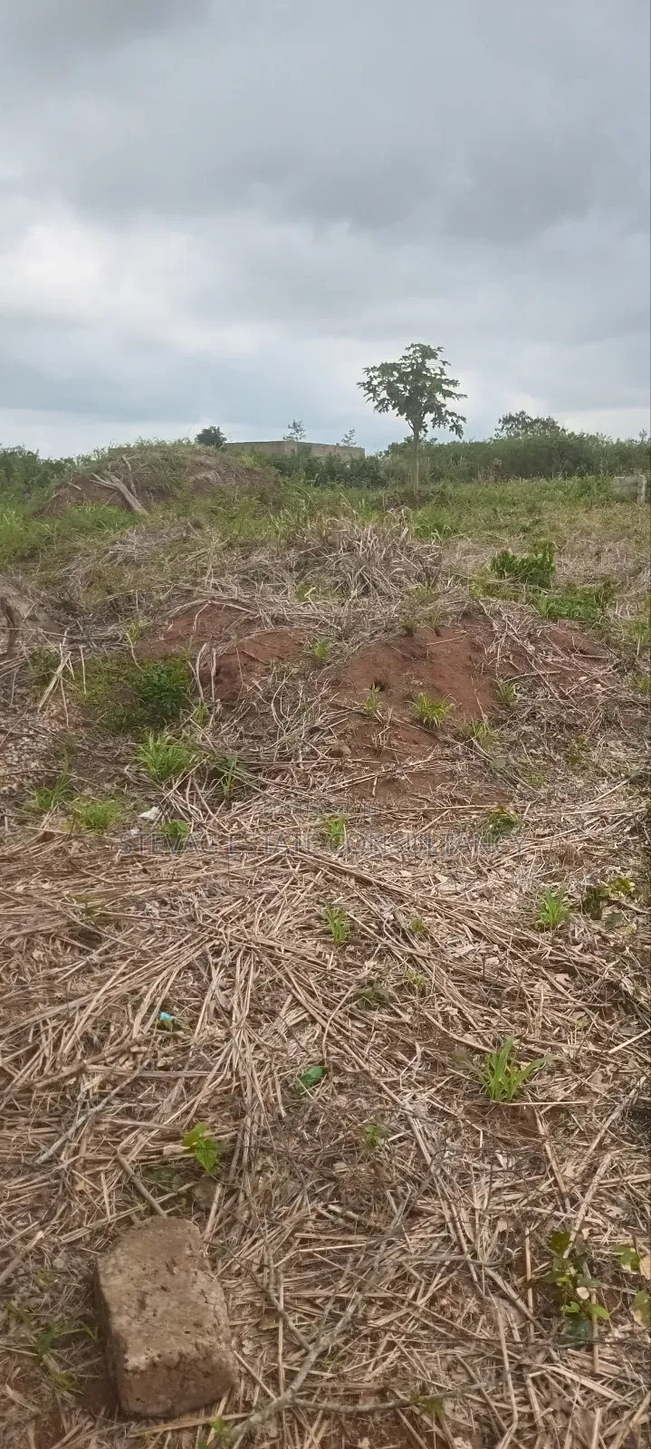 Land for Sale at Amasaman ASHIFLA Akutiaku