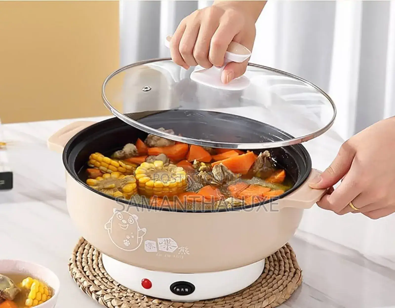 Electric Cooker - Portable and Durable