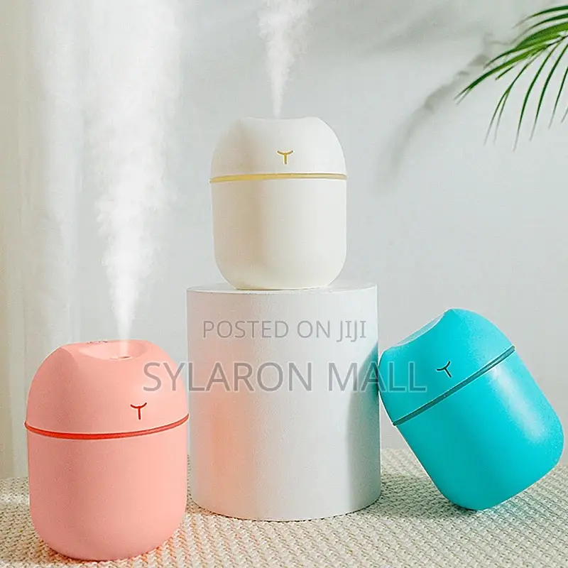 Dual Mist Capsule Air Humidifier