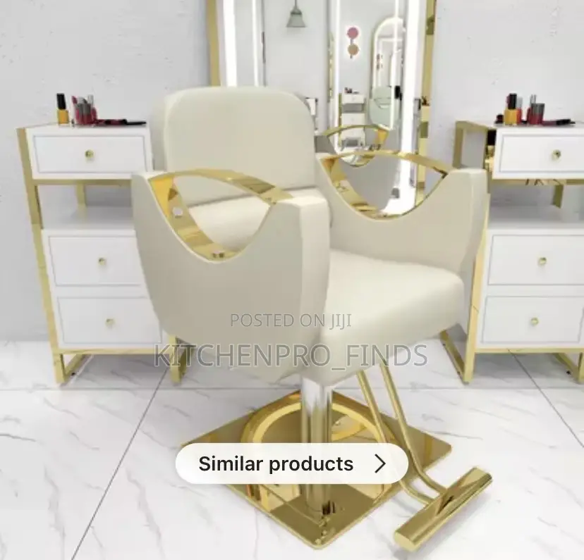 Modern Salon Swing Chair