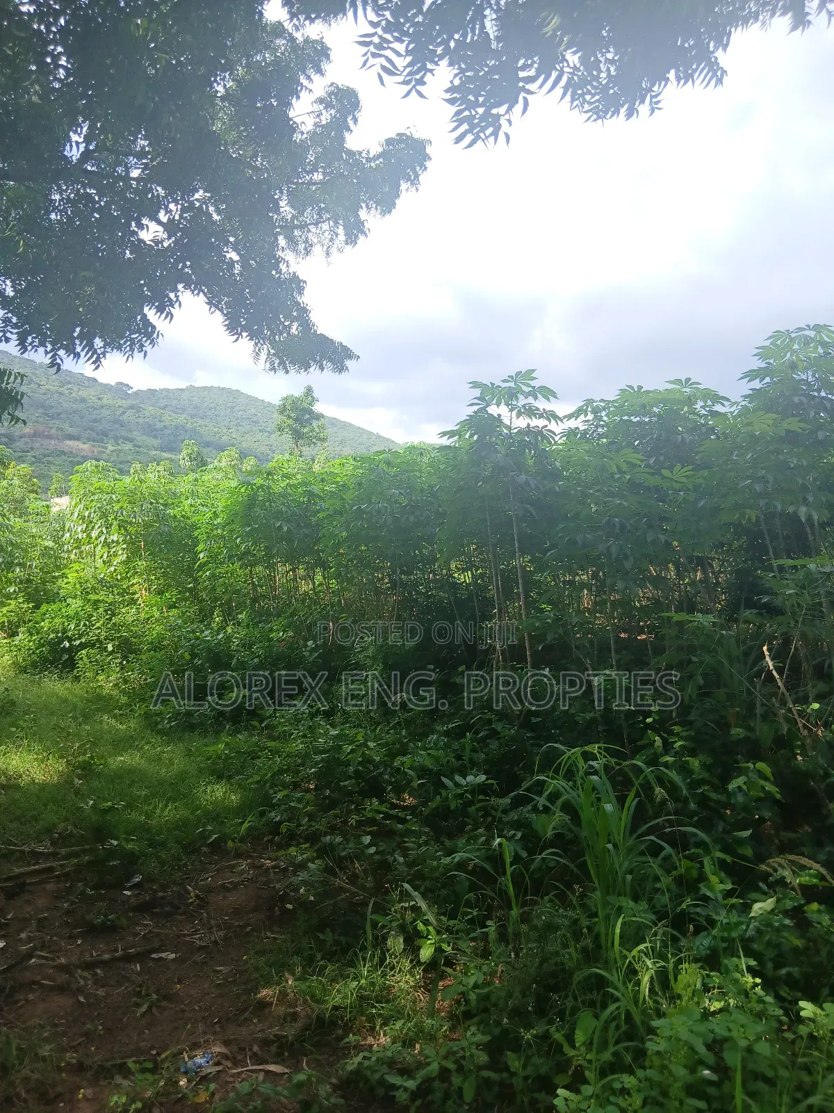 Land for Sale at Dodowa Ayikuma