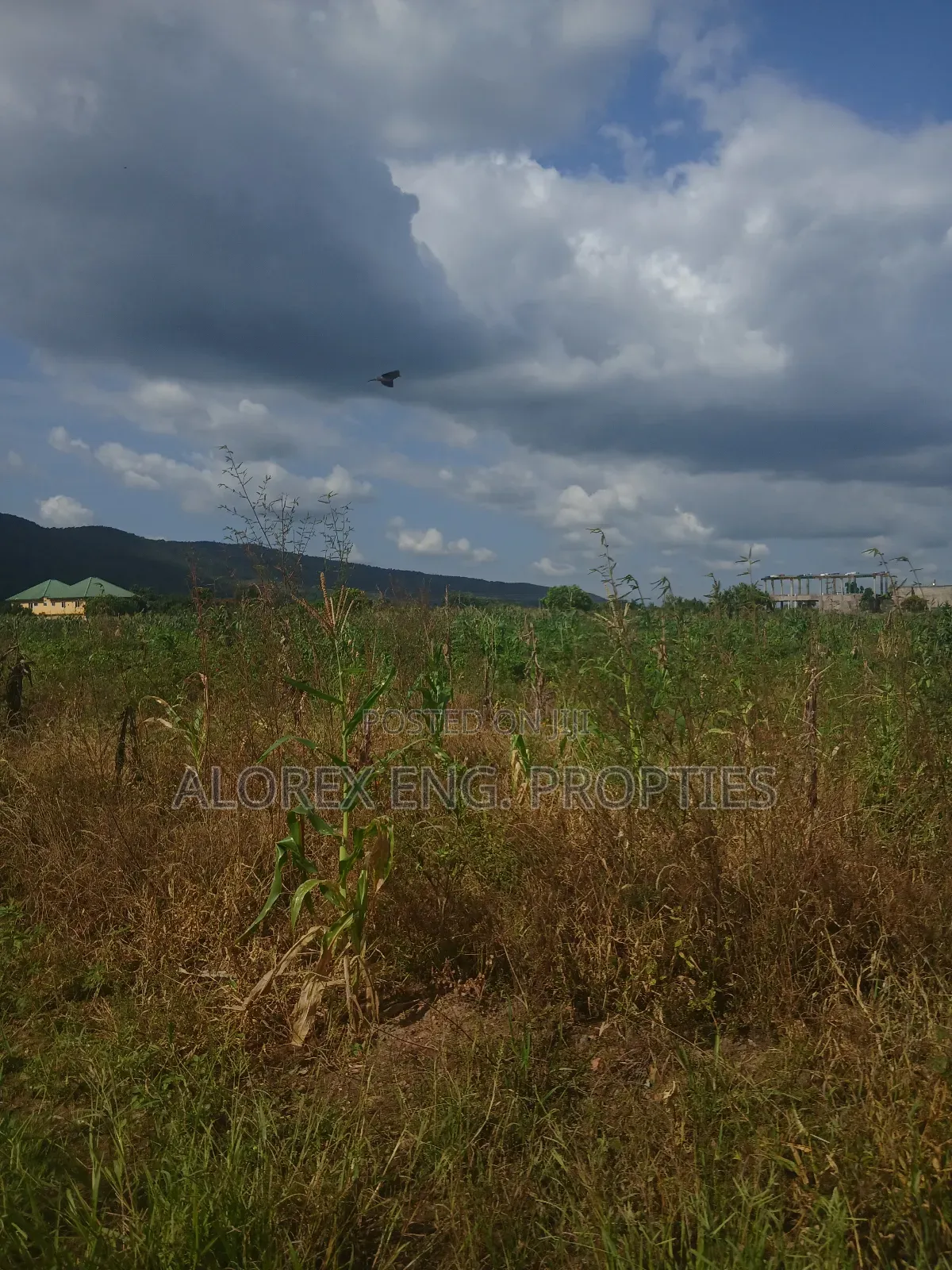Land for Sale at Dodowa Ayikuma