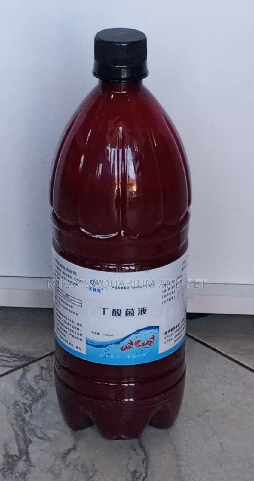 Probiotics For Aquarium Fishes
