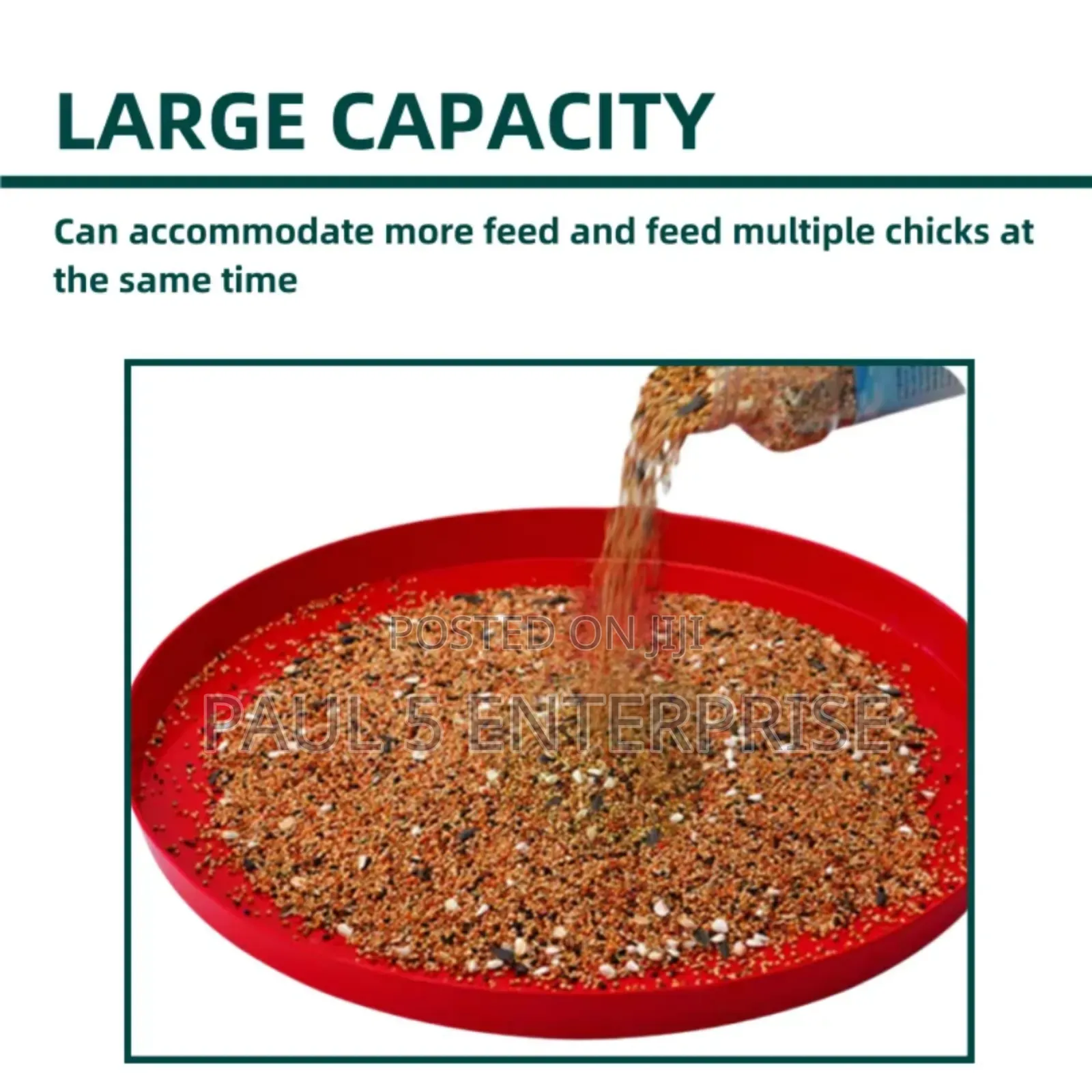Day Old Feeding Tray Wholesale and Retail