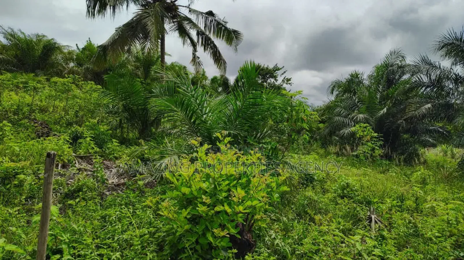 4000acres of Land Available for Sale at Dodowa,