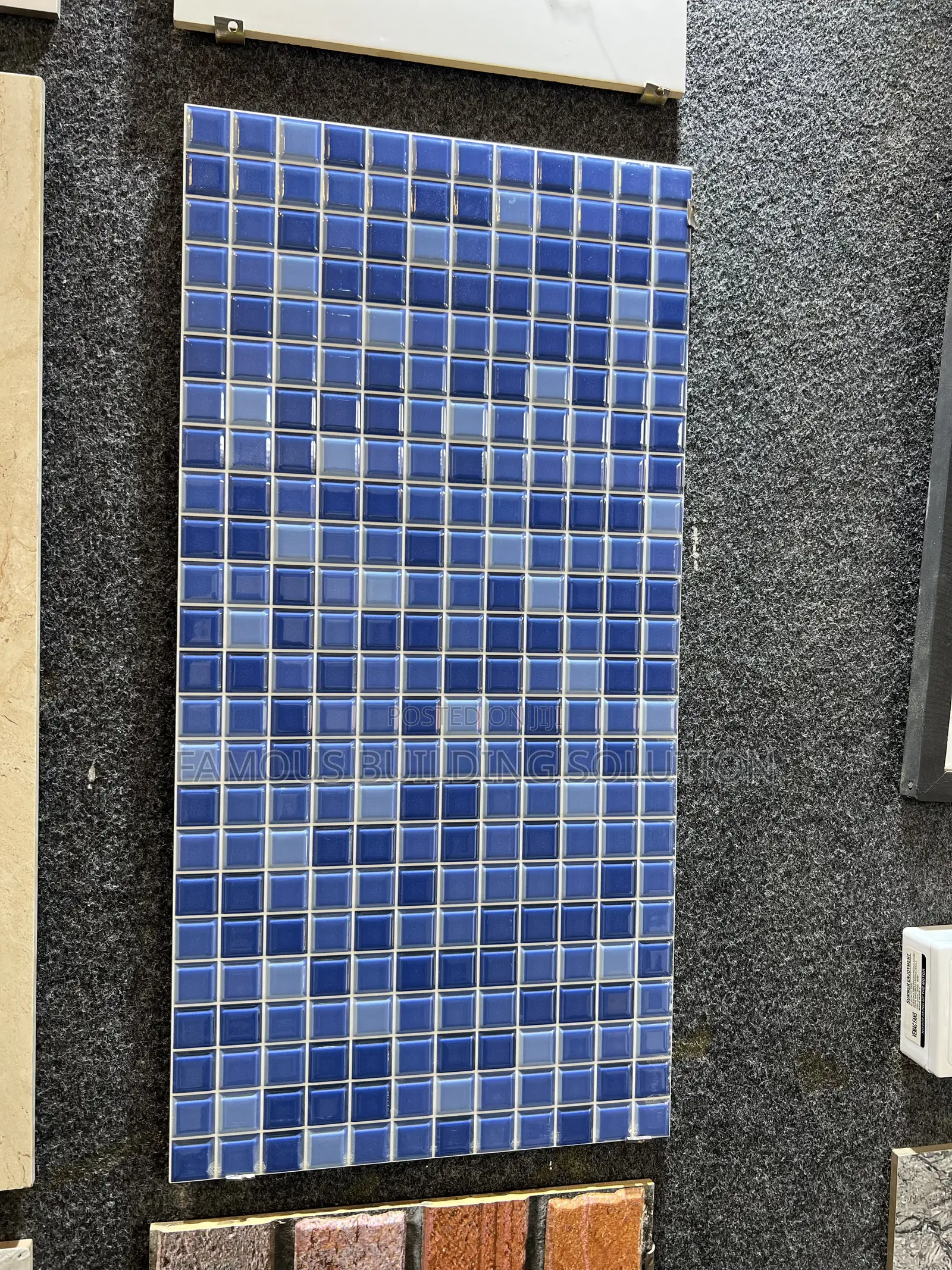 Swimming Pool Tiles (30/60)