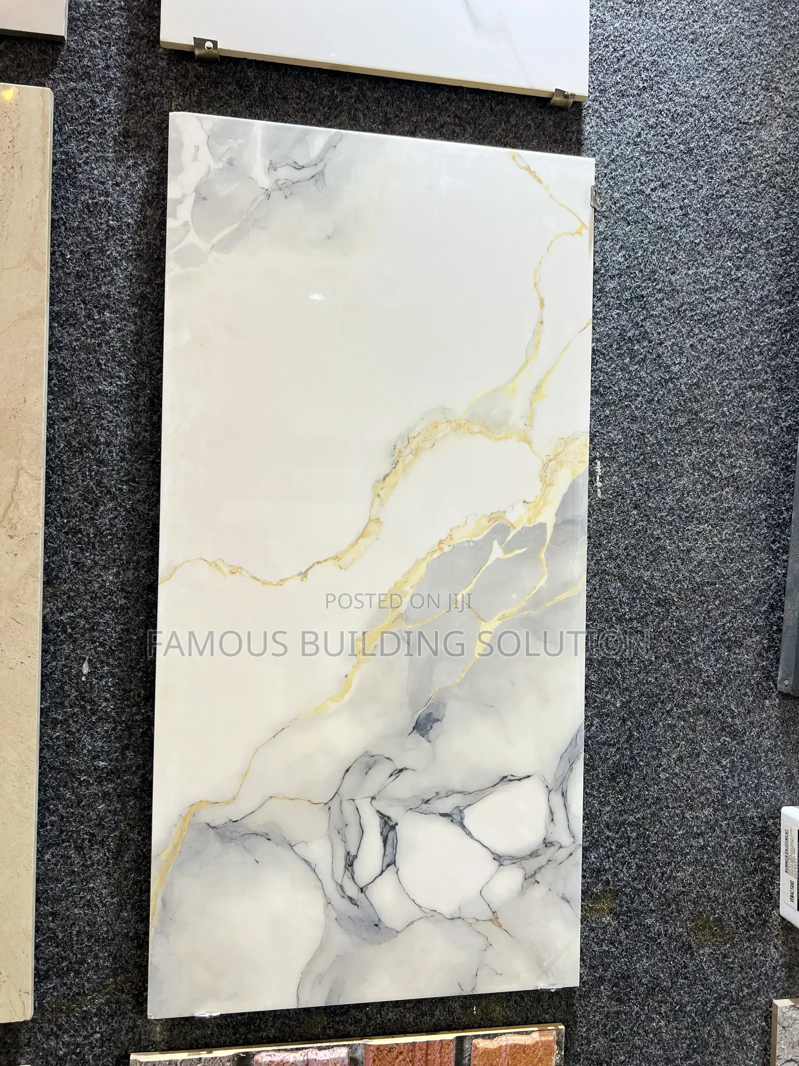 Polished Wall Tiles (30/66) Made in India 
