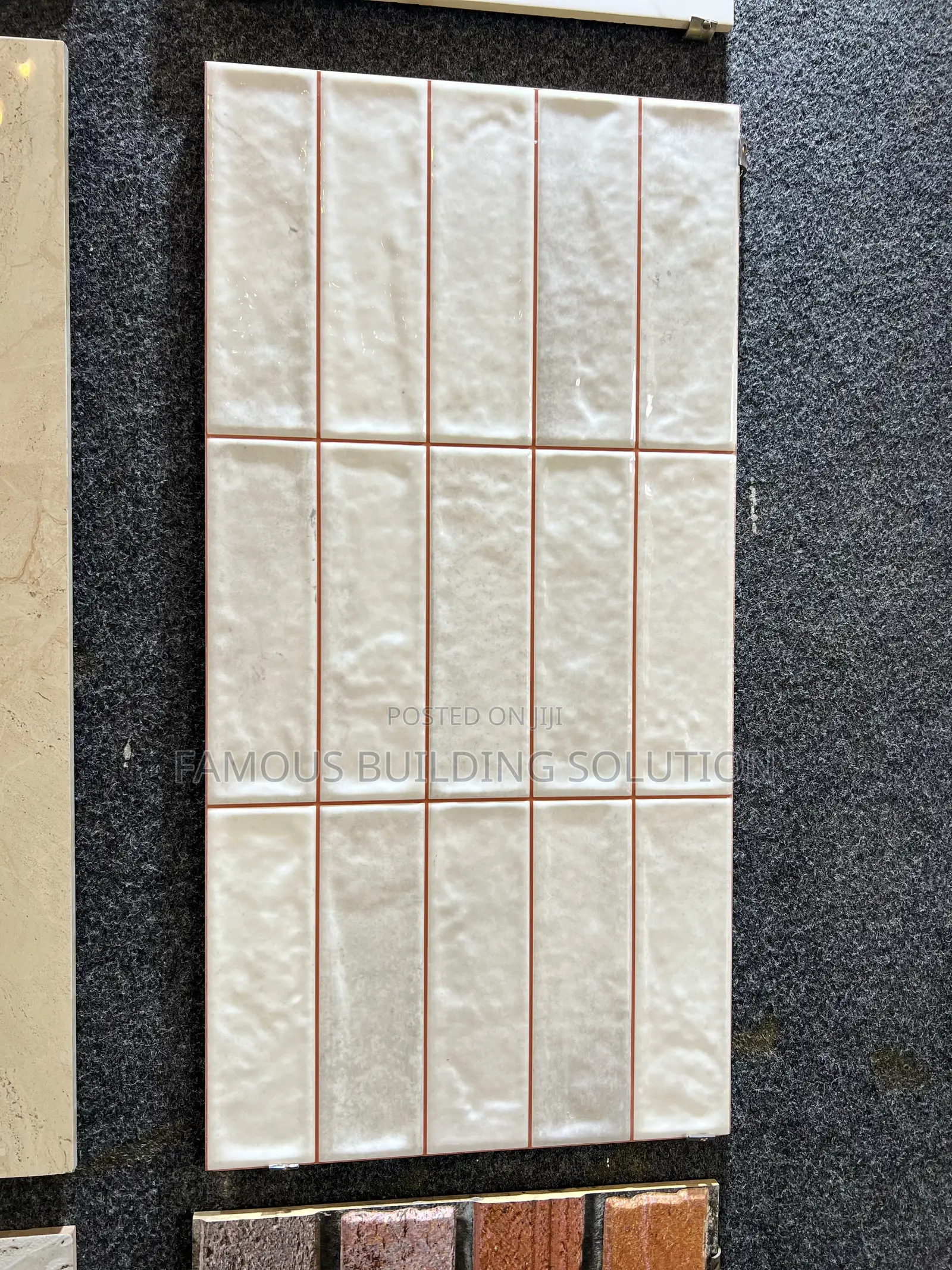 Polished Wall Tiles (30/66) Made in India 