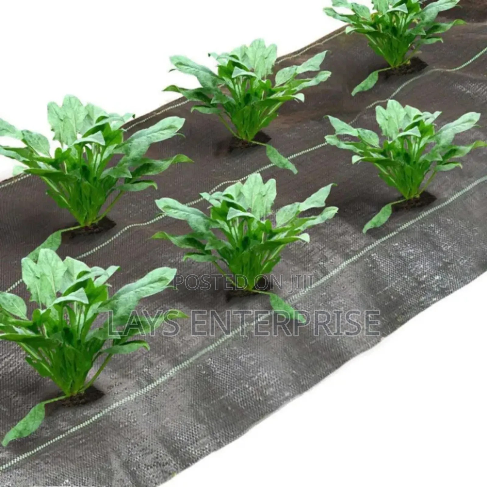 Anti Grass Weed Mat Uv Protection(1*100meters)
