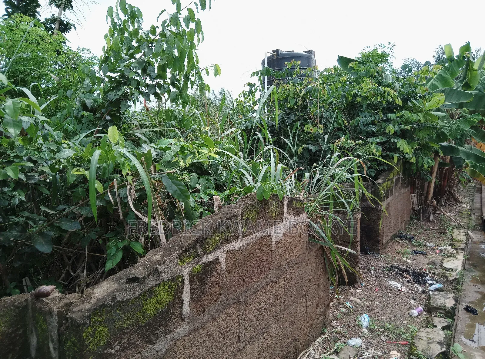 One Acre Plot of Land for Sale at Tanoso Pokukrom