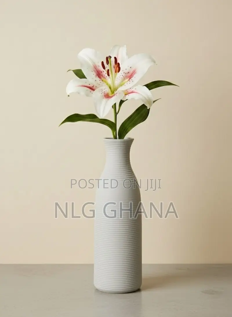 Modern Ceramic Vase With Matte Finish. Ghx7486