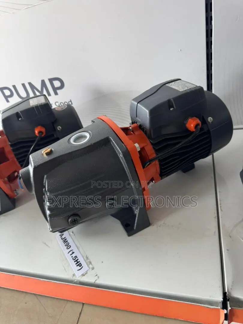 Available Now at Store Water Pump 1.5hp Leo