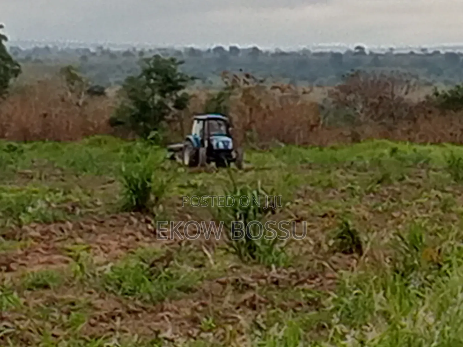 300 Acres Farm Land