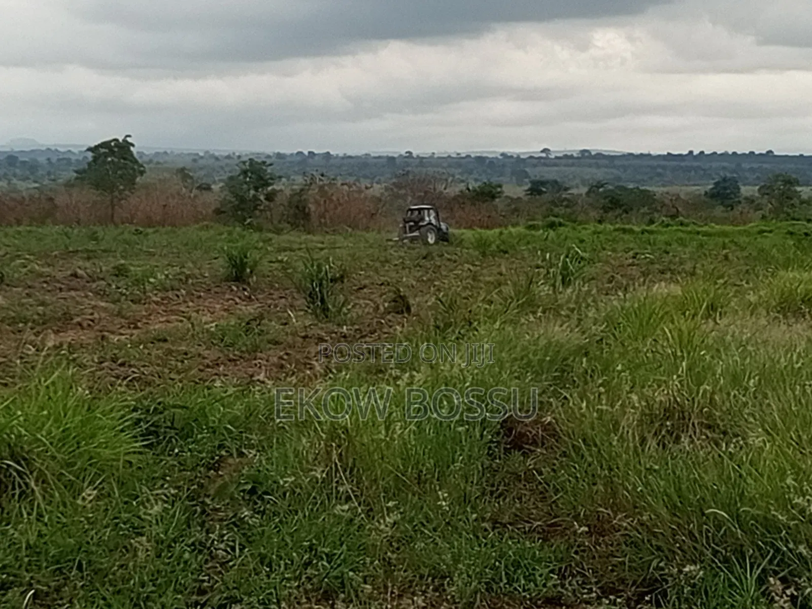 300 Acres Farm Land