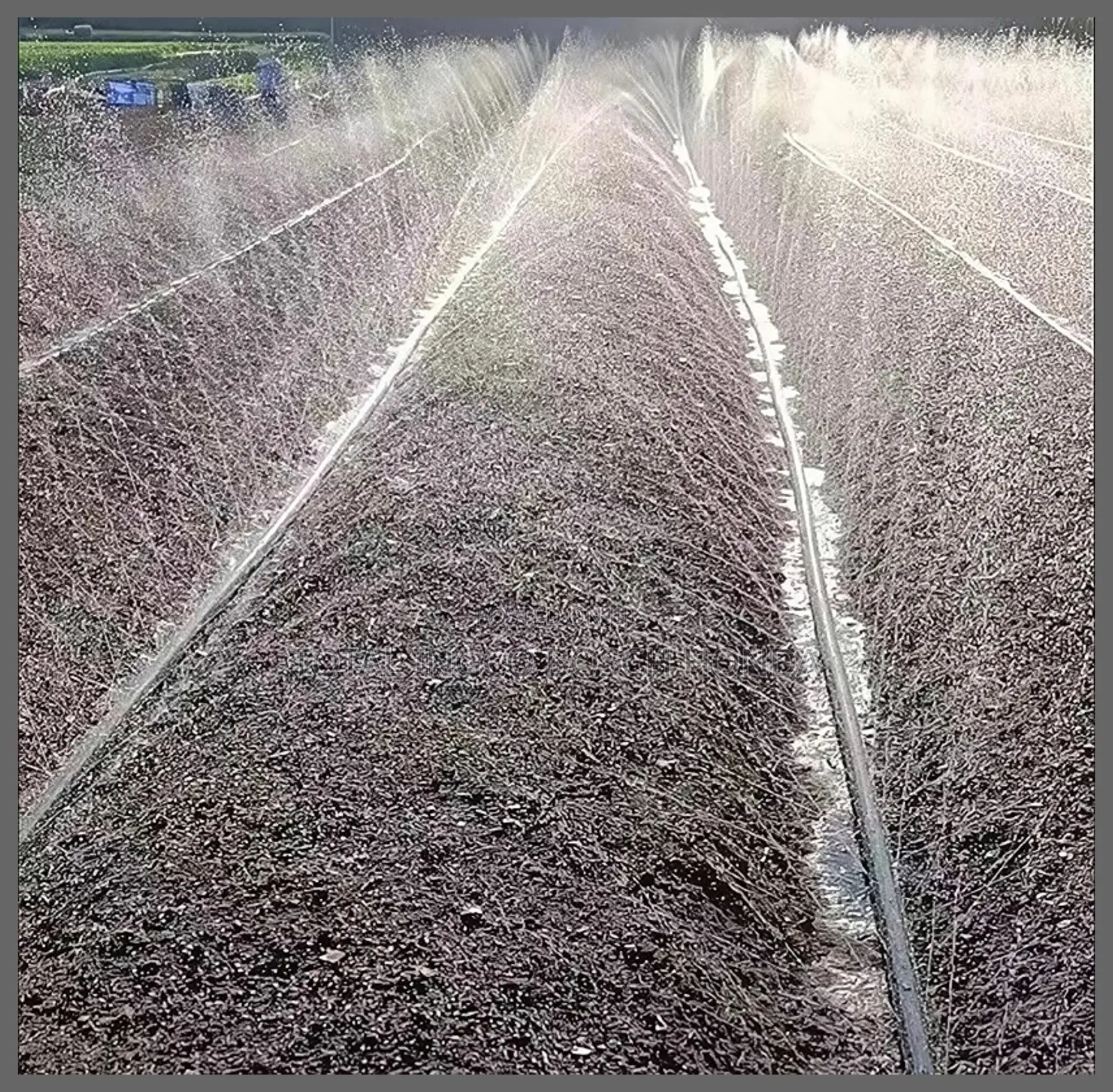 Hose Water Rain Hose 100m