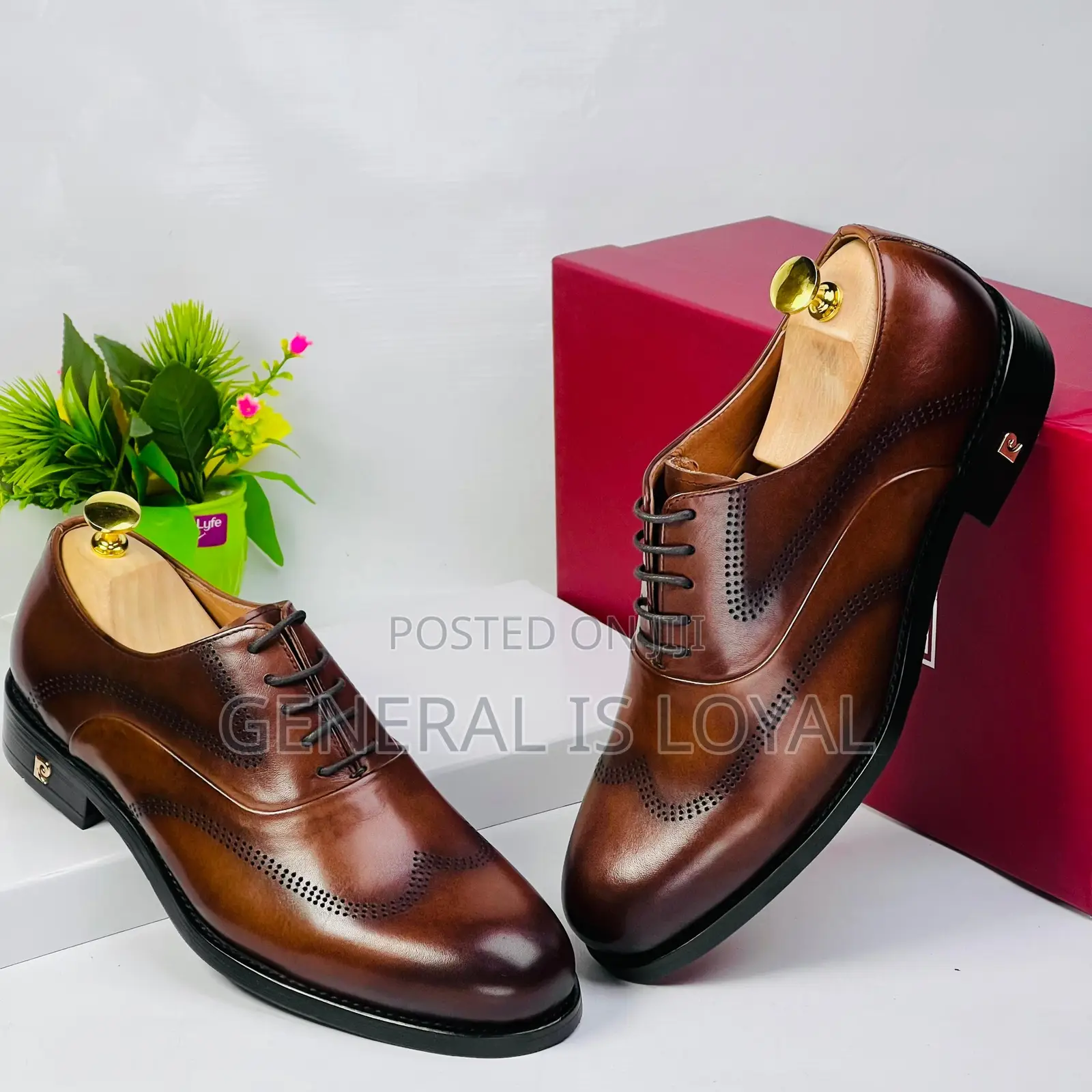 Pierre Cardin Brown Men’S Leather Lace Shoe