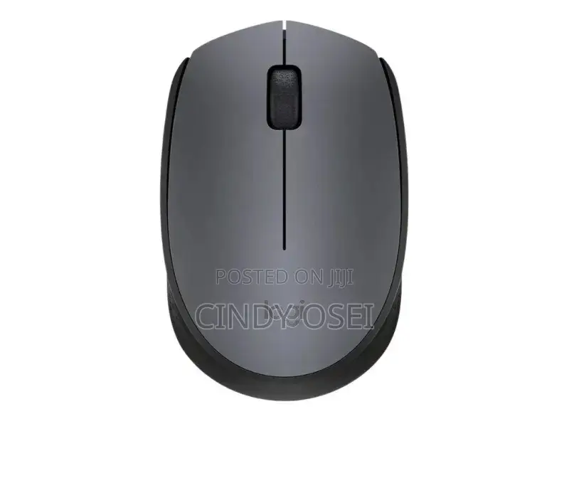 Logitech Wireless Mouse M171