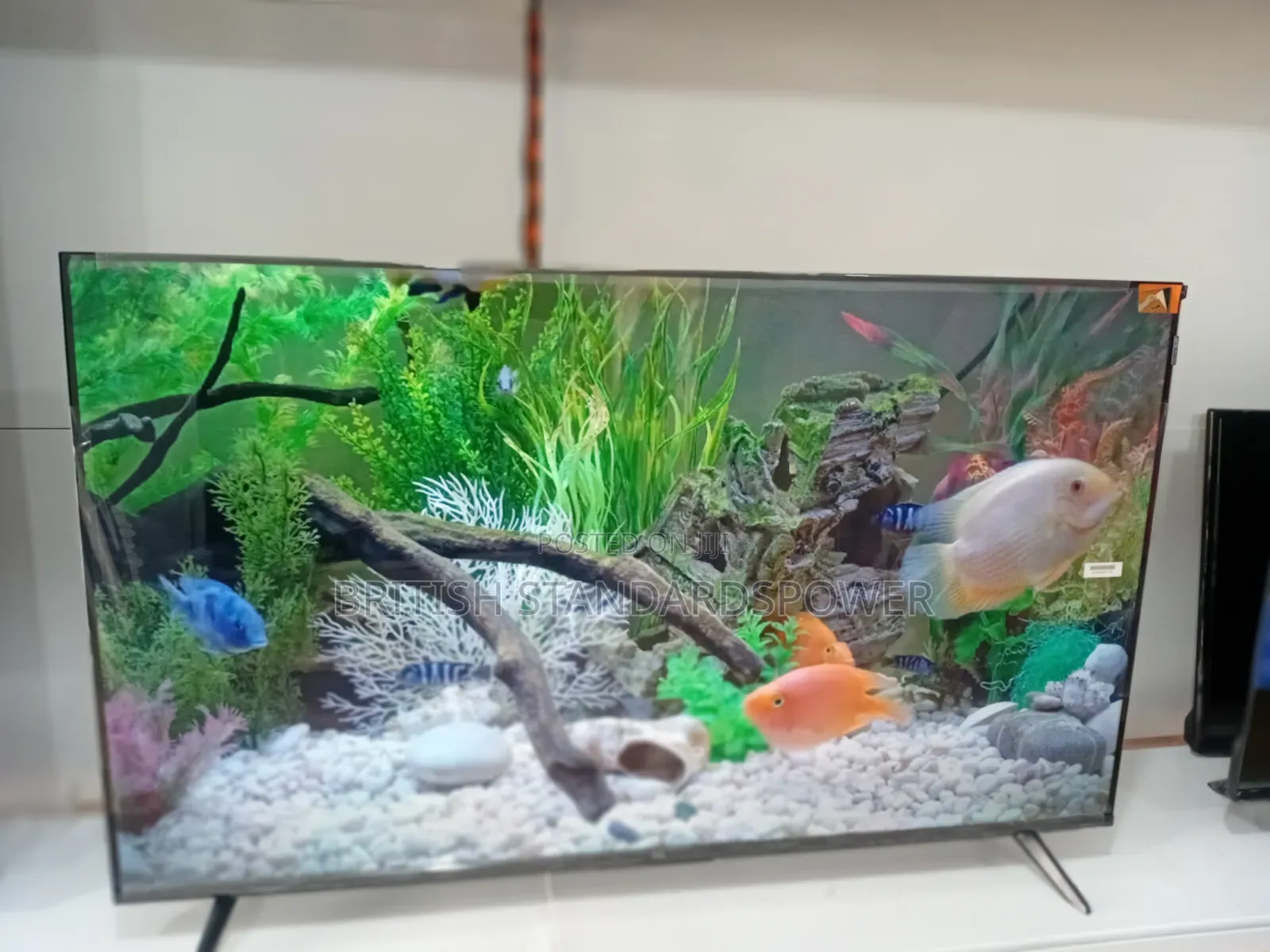 50" Smart TCL Tv With Model Number 50p635