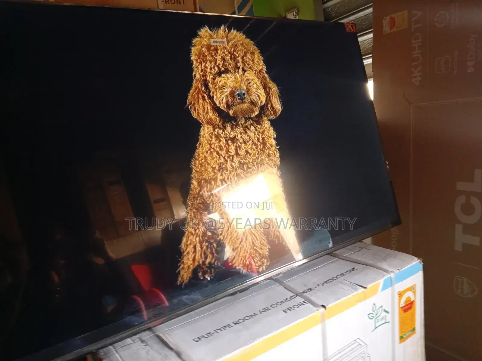 Immerse Yourself in Rich Cinematic Sound With 55 Inches Qled TCL Tv