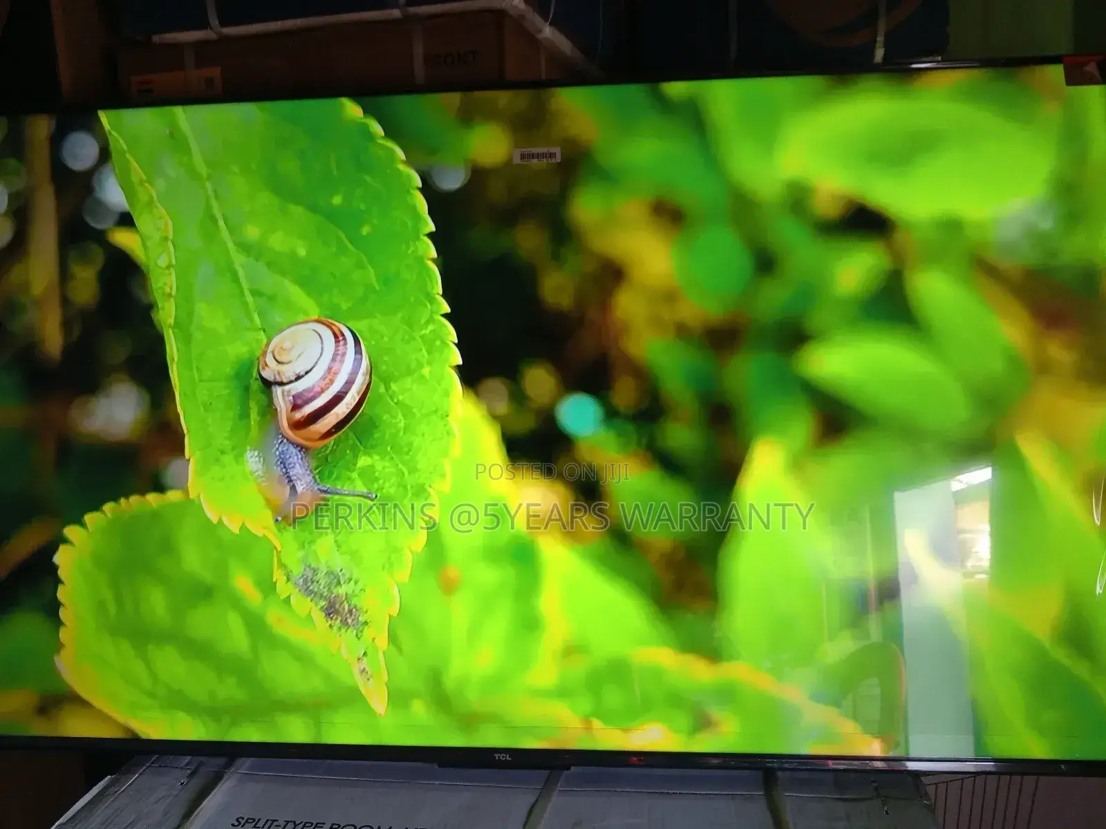 Access a World of Entertainment at Your Fingertips With TCL 55 Qled Tv