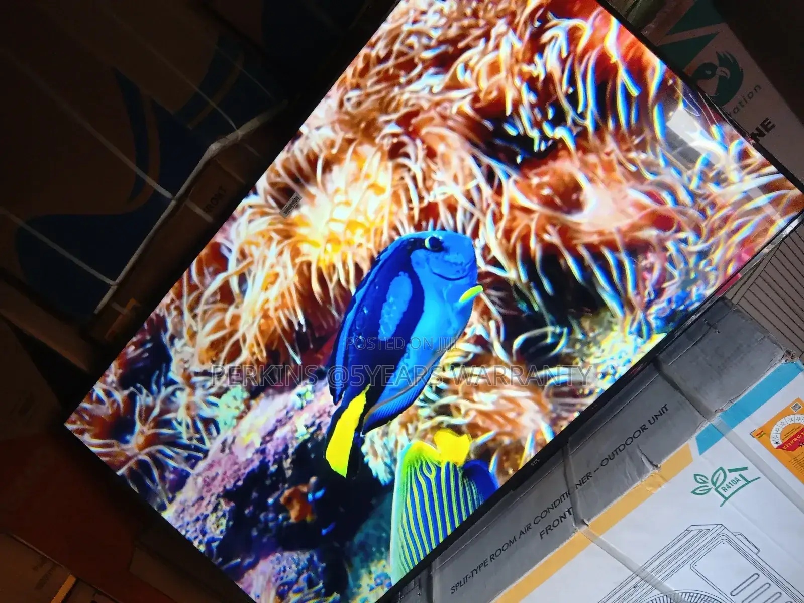 Access a World of Entertainment at Your Fingertips With TCL 55 Qled Tv