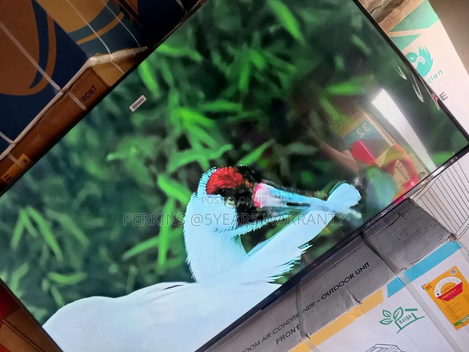 Voice Control With Alexa or Google Assistant With TCL 55 Qled Tv