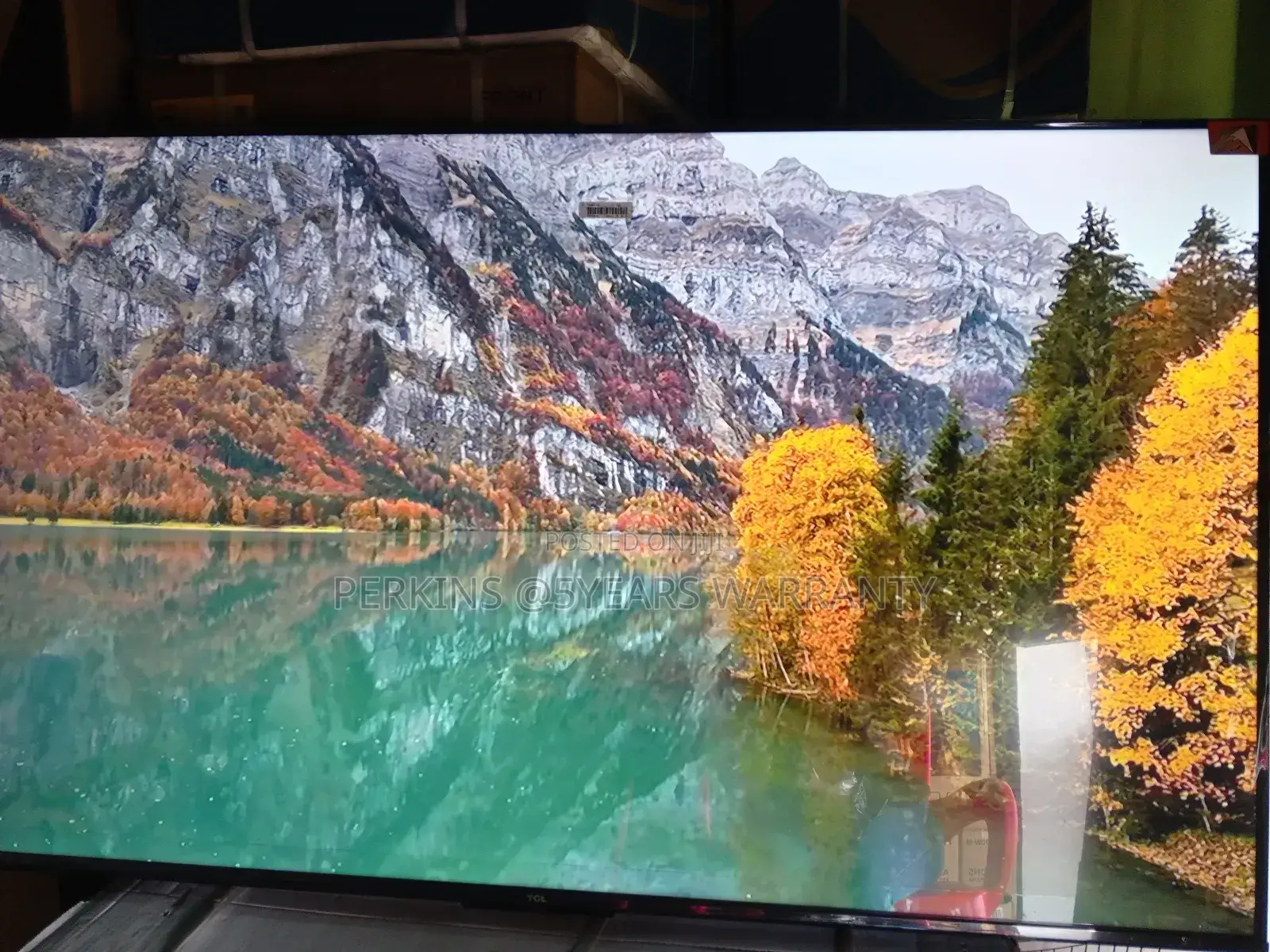 Multi-Device Connectivity 55 Qled TCL Television