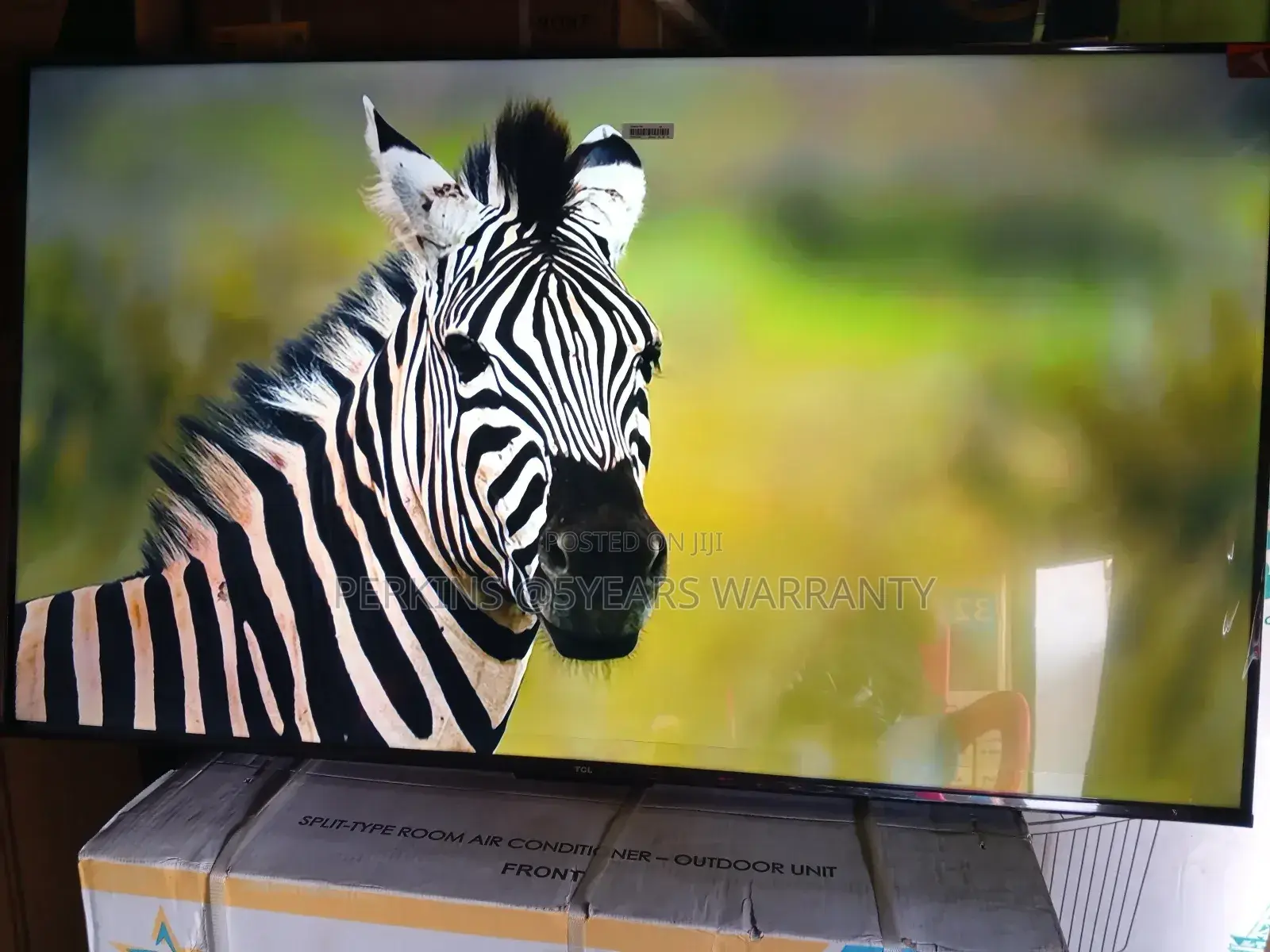 Multi-Device Connectivity 55 Qled TCL Television