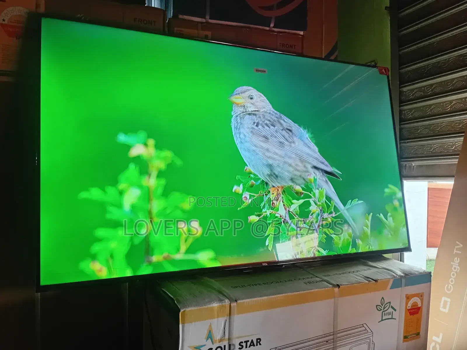 The Smartest Tv in Your Home – TCL 55inches Smart Tv