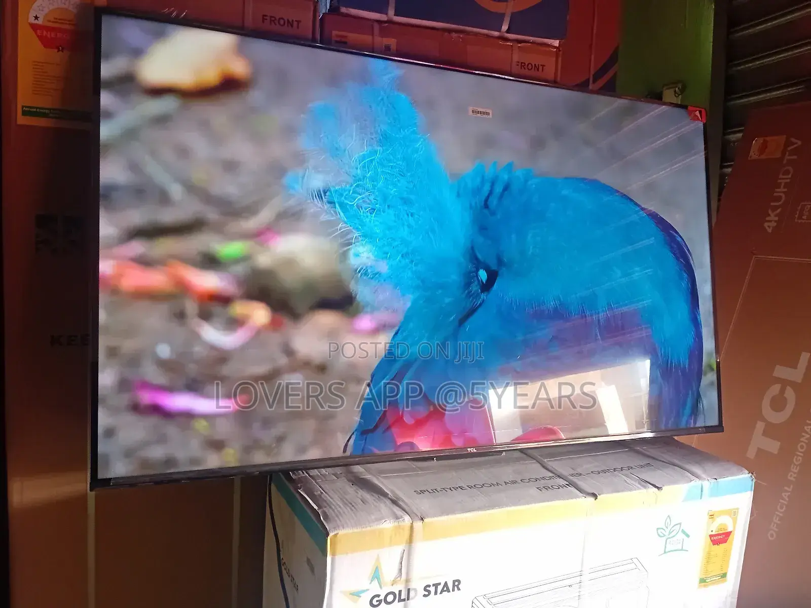 The Smart Tv Revolution – TCL 55inches Smart Tv ”