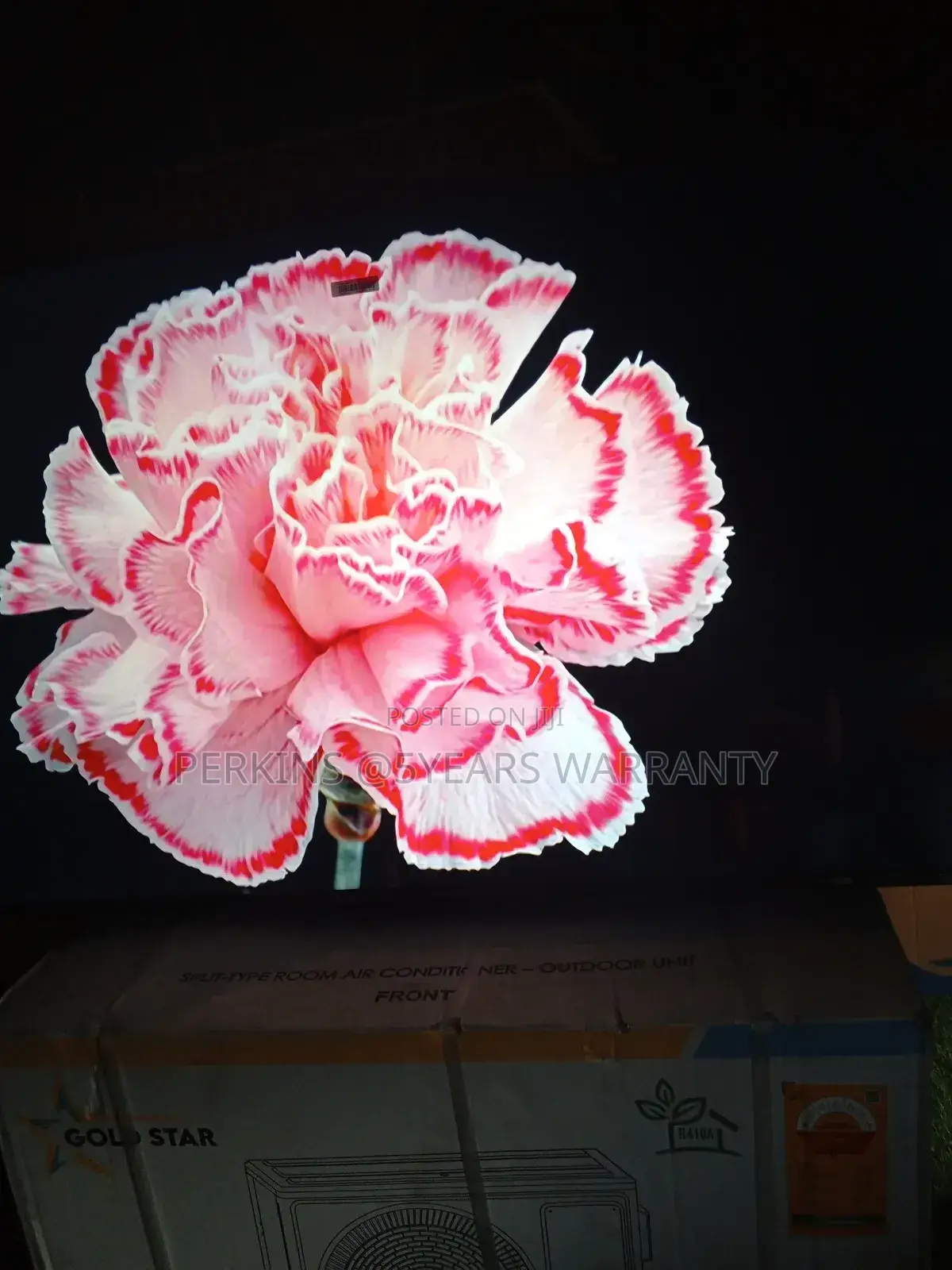 Connect With Family and Friends Through Screen Mirroring With TCL 50