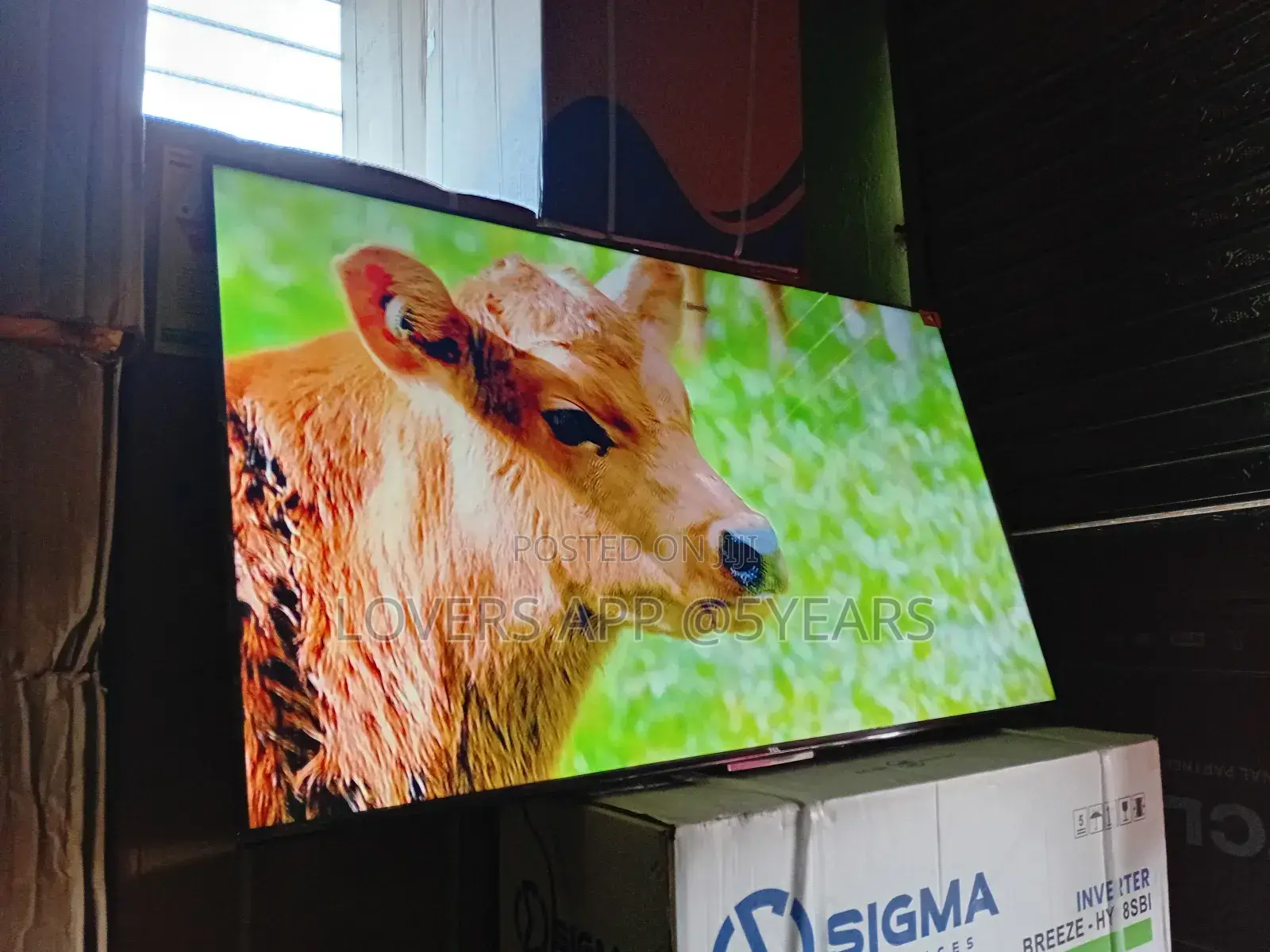 Limited Offer – TCL 65inches Smart Tv at a Steal
