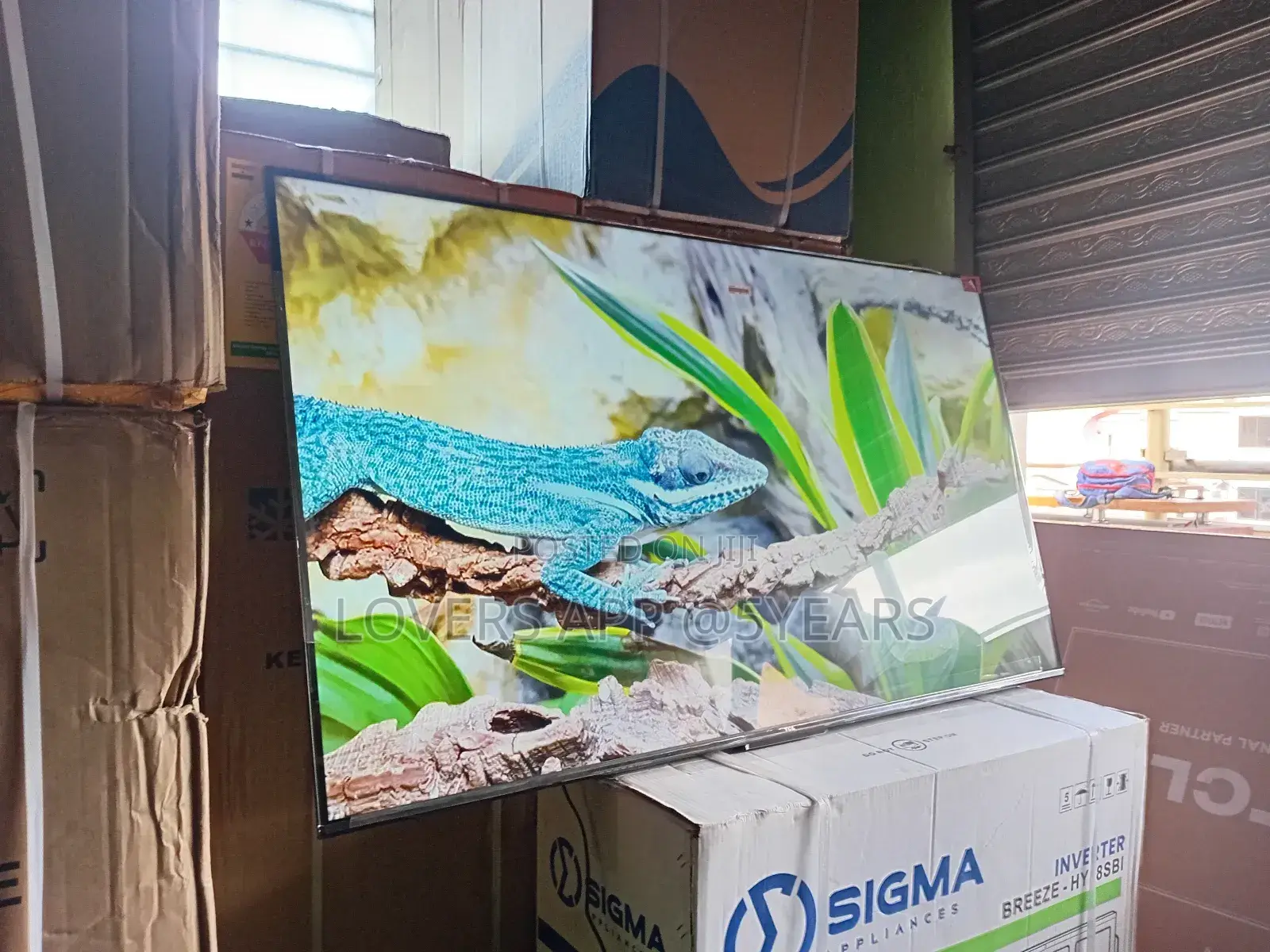Movie Night Just Got Better – TCL 65inches ” Smart Tv