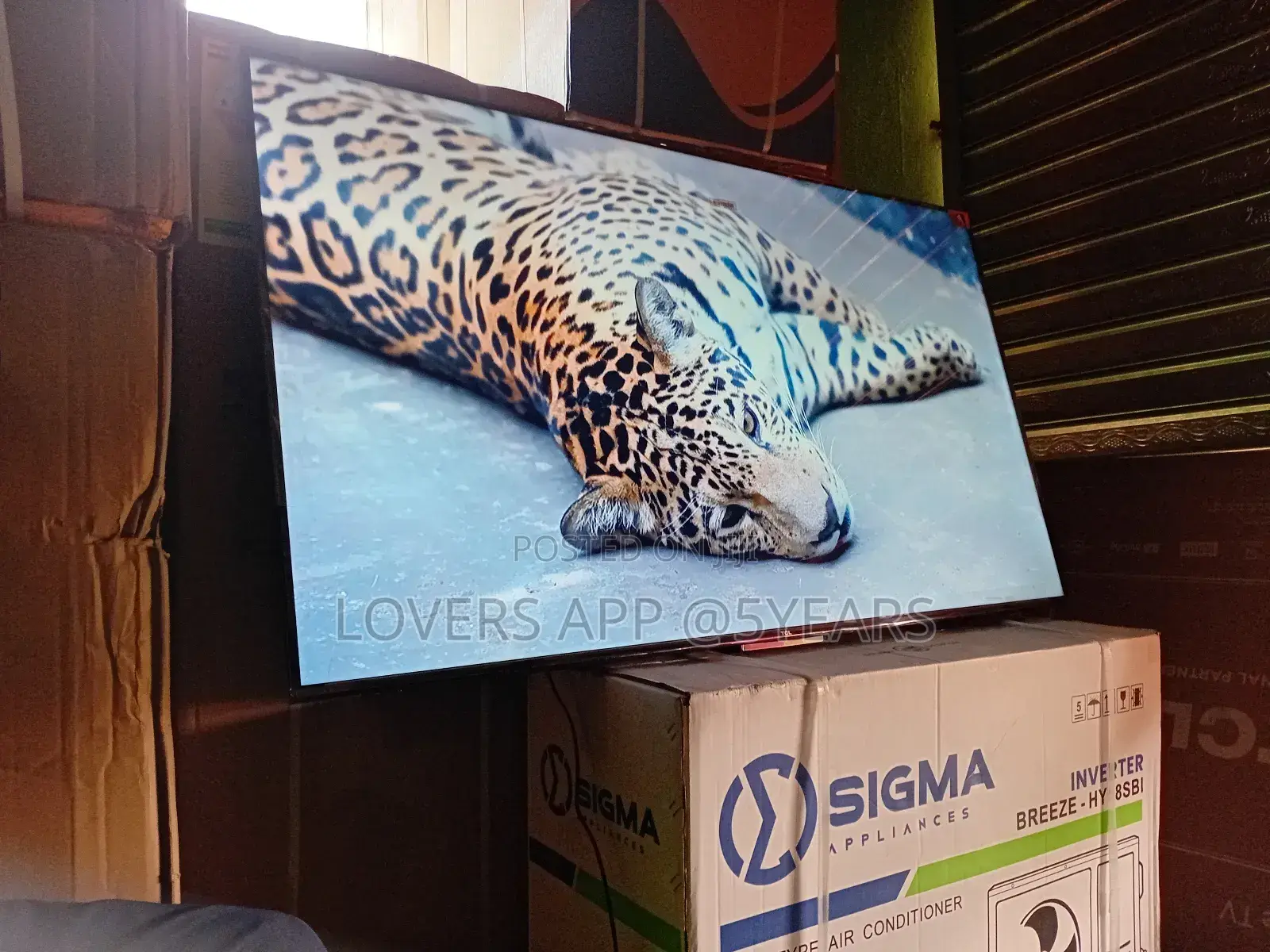 Movie Night Just Got Better – TCL 65inches ” Smart Tv
