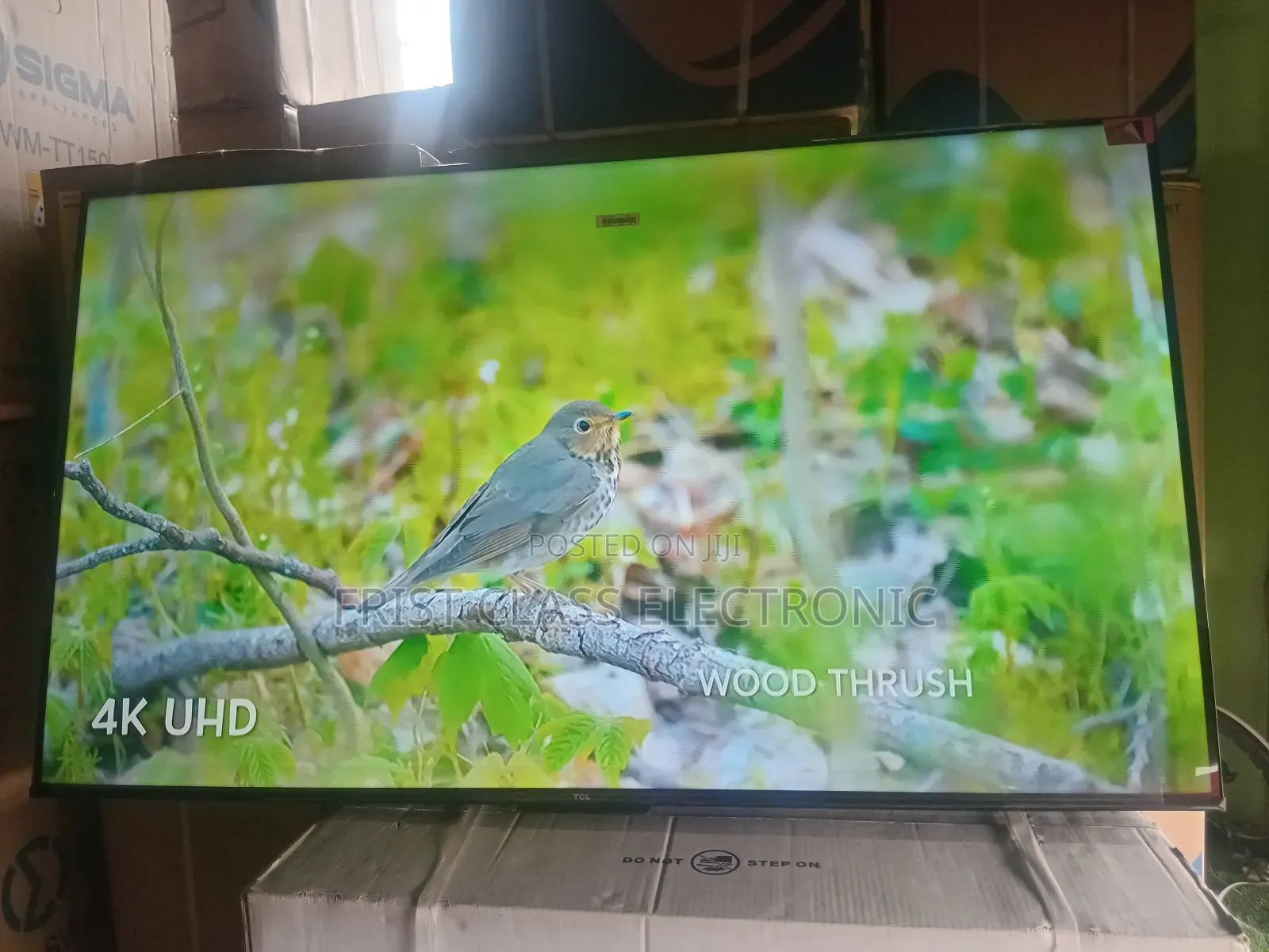 TCL Google Tv Excellence Uhd TCL Tv