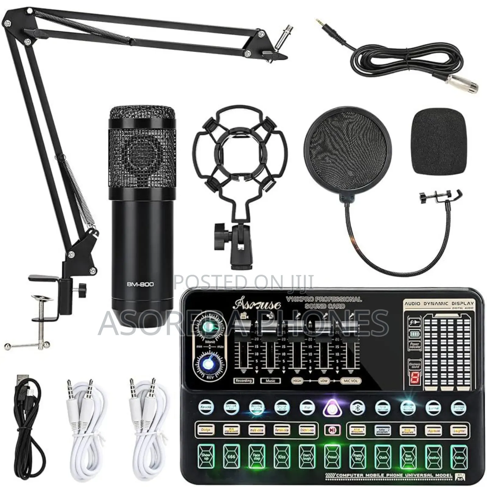 Professional Condenser Studio Microphone Set
