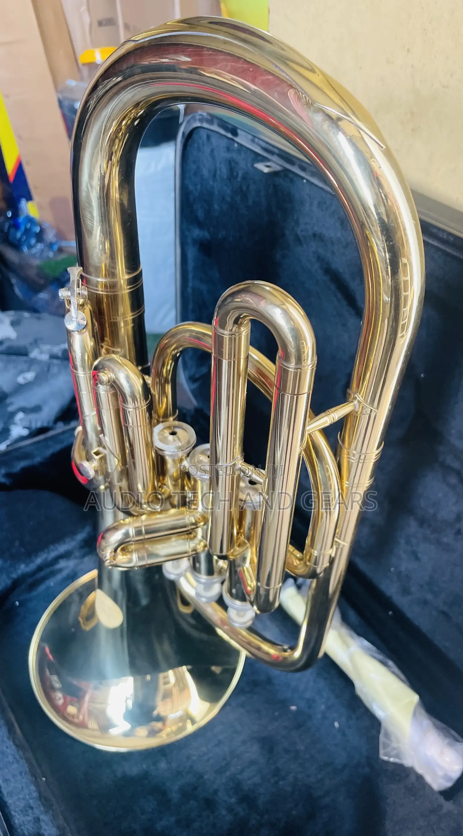 Alto Horn - Gold