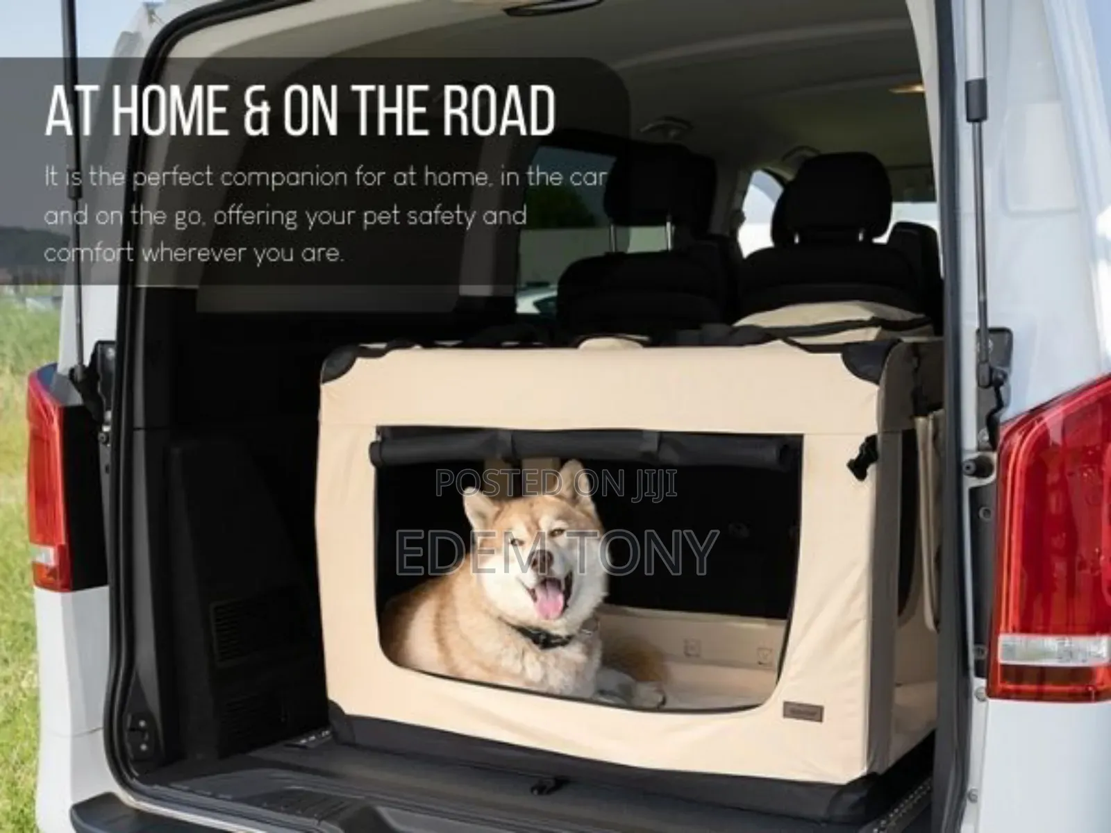 XXL Lionto Pet Carrier