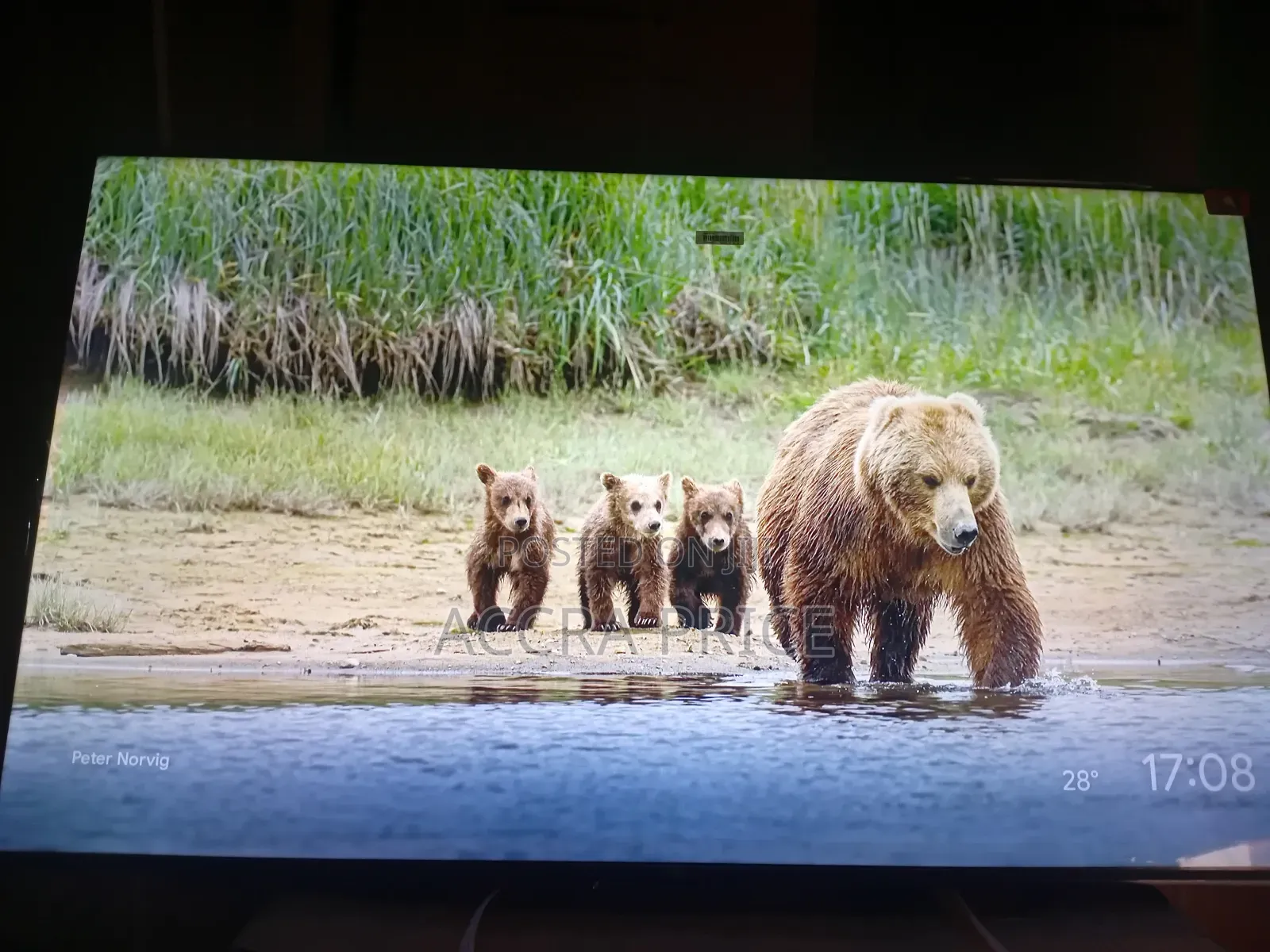 Non Tiring Brand Tcl55