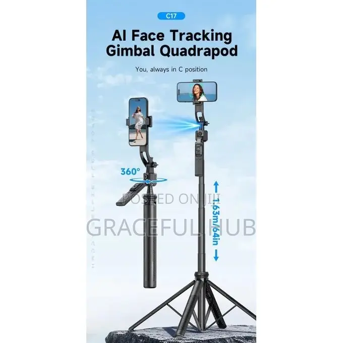 C17 Quadrapod