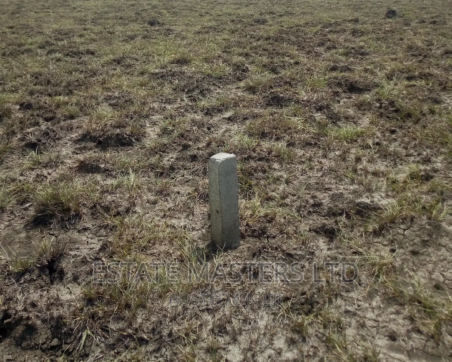 Demarcated Estate Plots