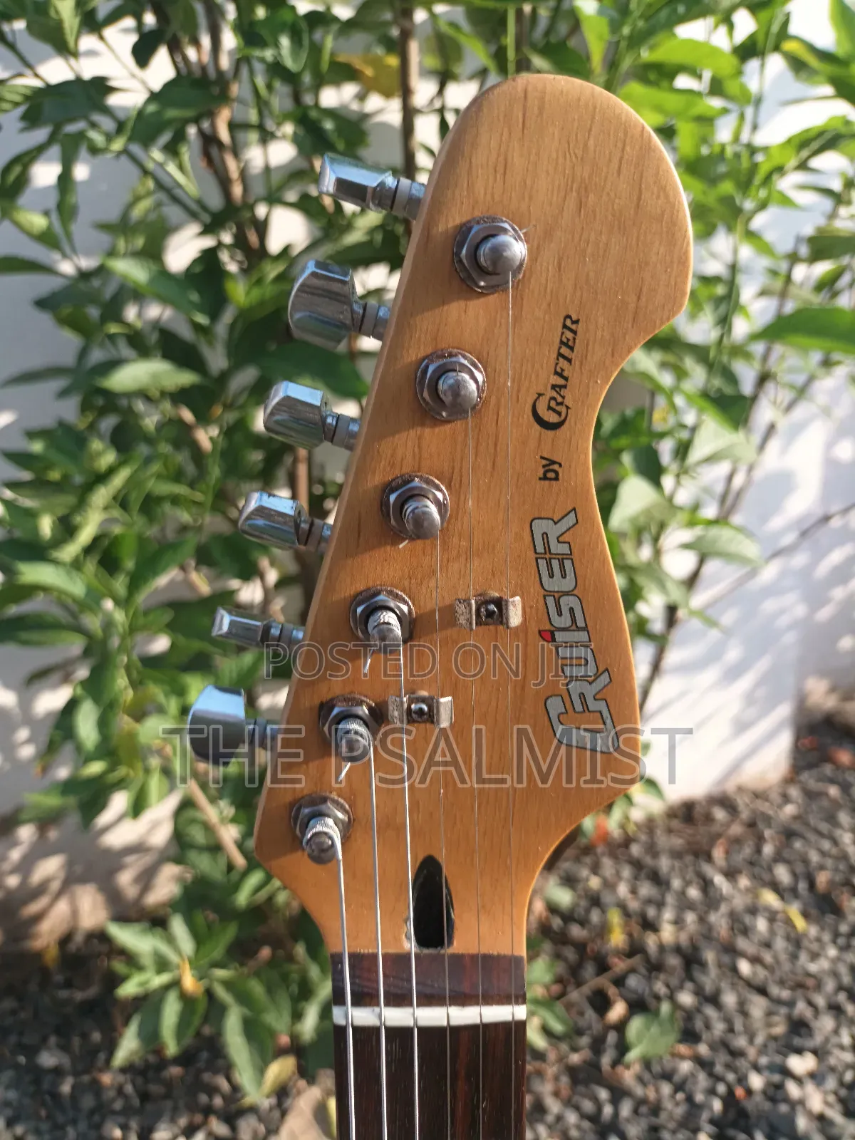 Cruiser by Crafter Strat Style With Padded Bag
