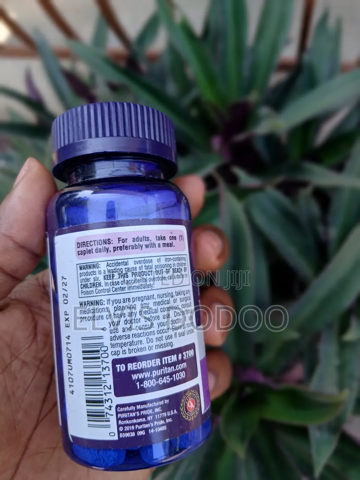 Prenatal Vitamins (100 Caplets)