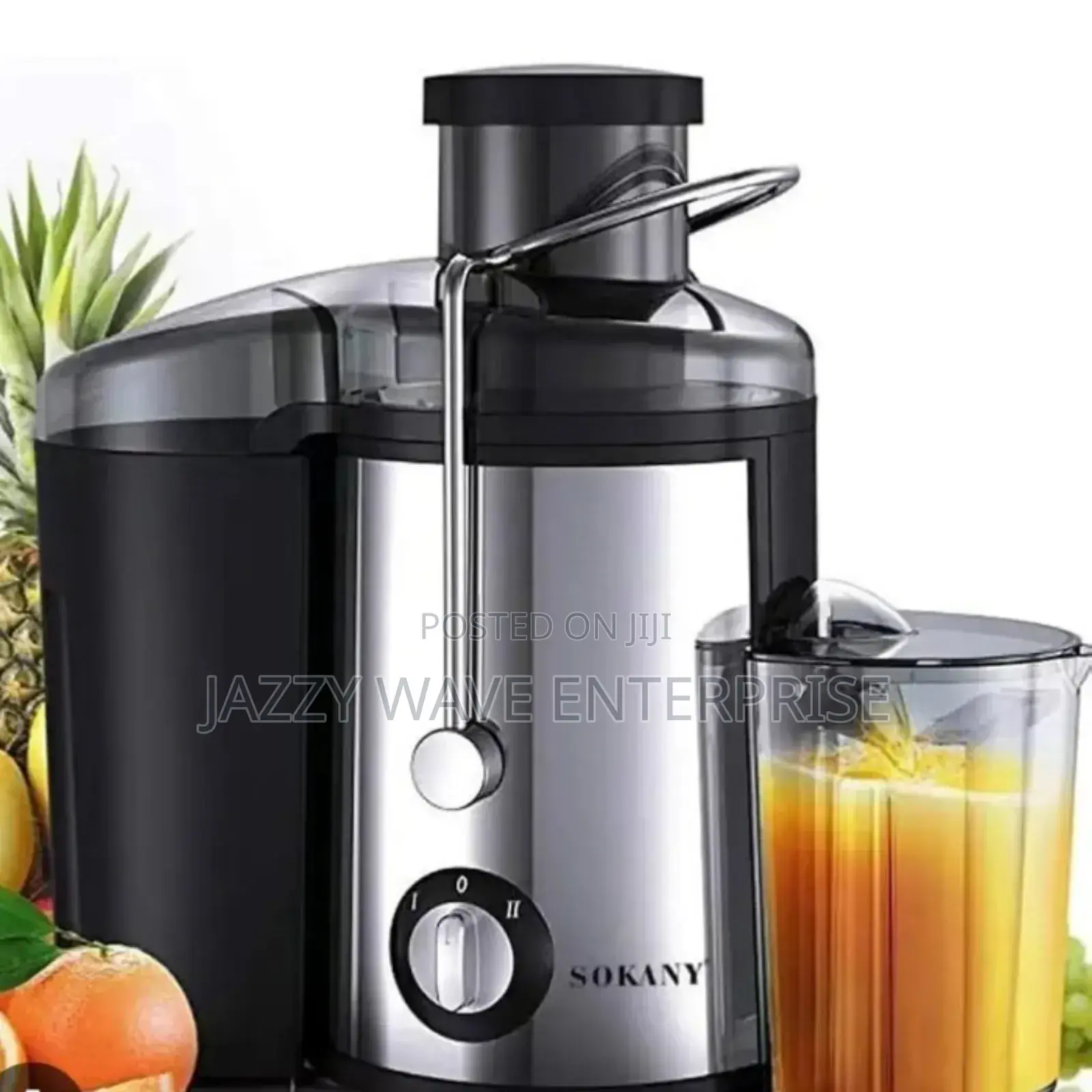 Fruit Juicer