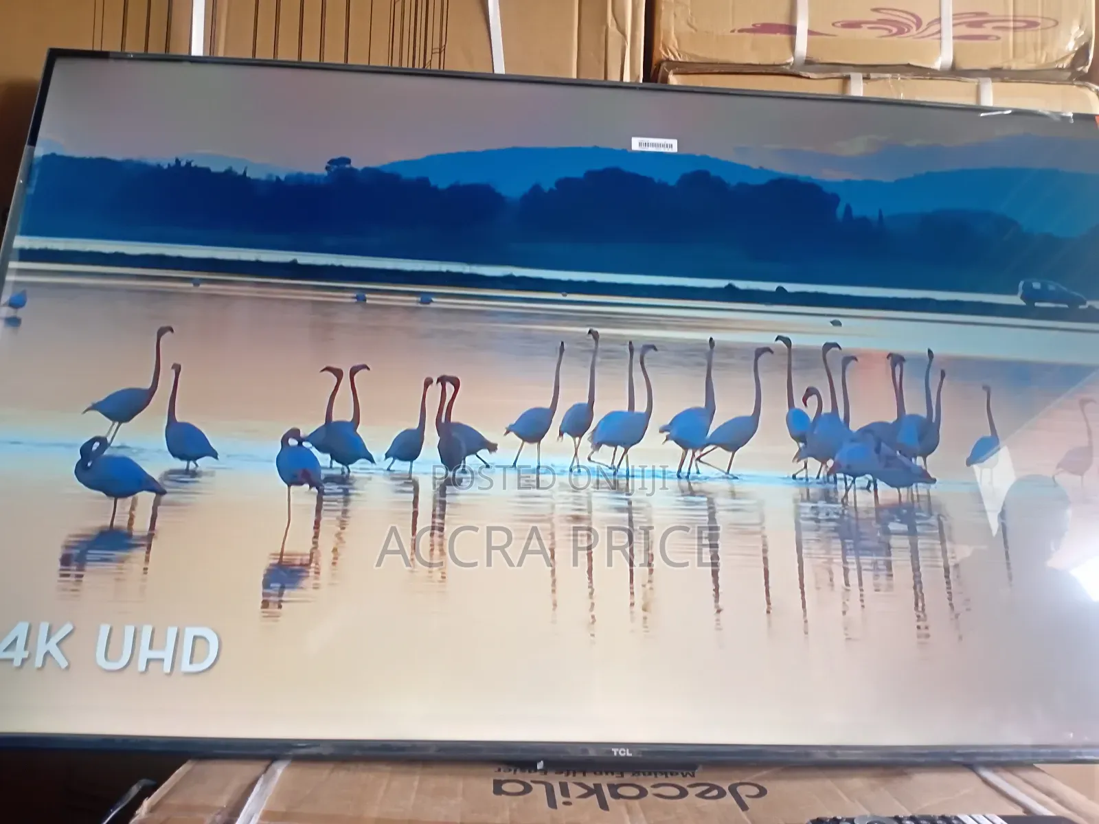 Beauty in a Mount Tcl55