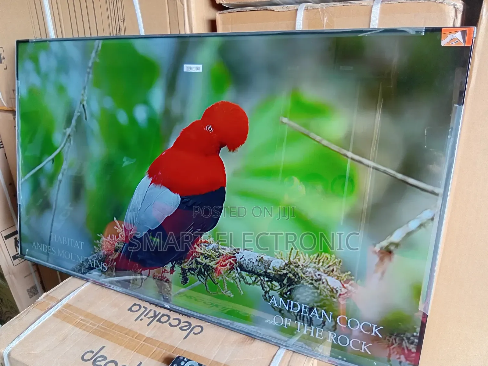 TCL Smart Tv – Bigger, Better, Brighter