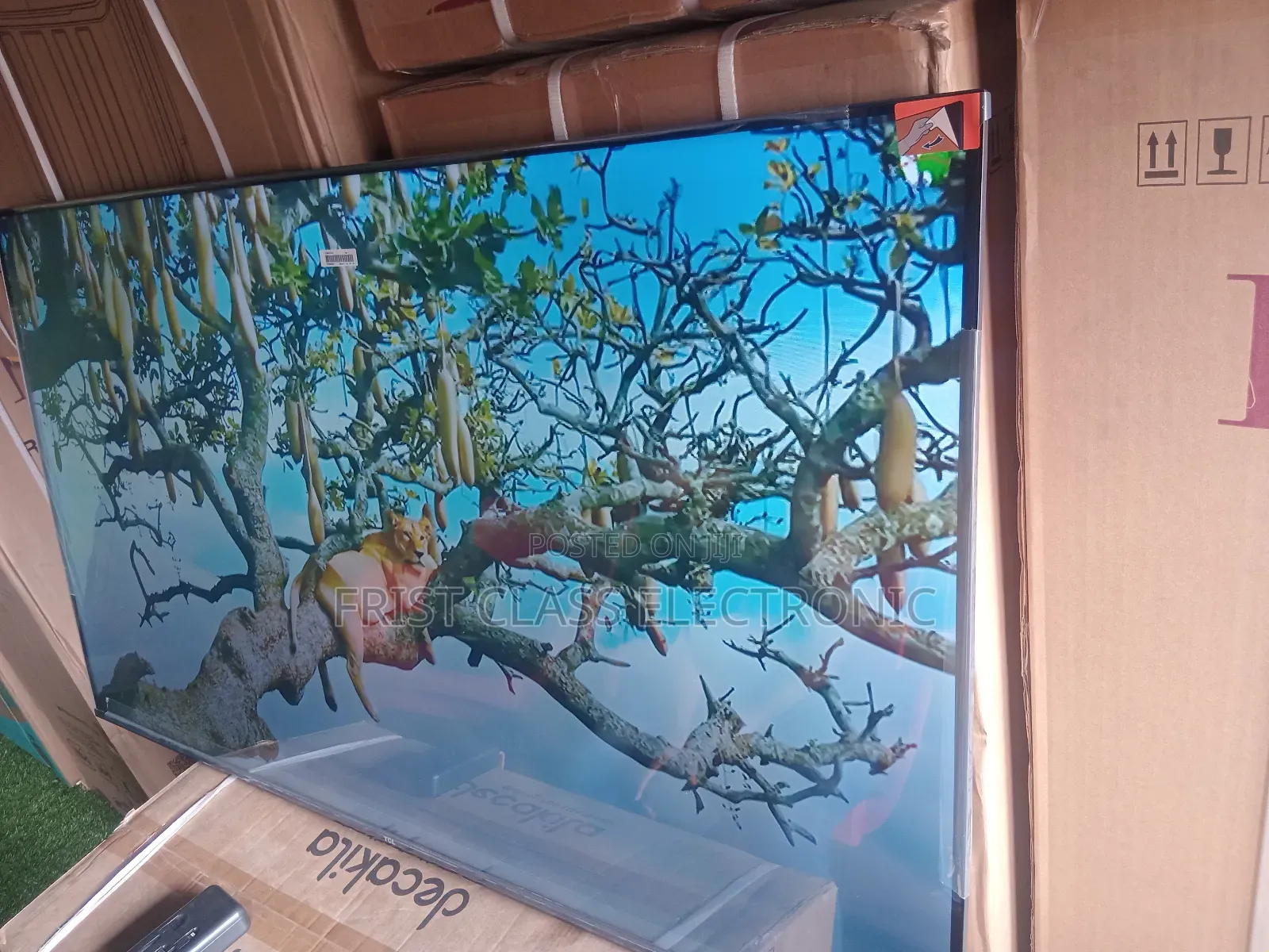 Smart, Sleek, and Powerful — TCL 55” Smart Tv for Your Home.