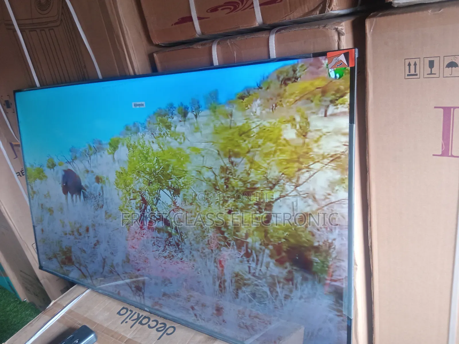 Bring the Cinema Home With TCL 55 Inches Smart Android Tv.