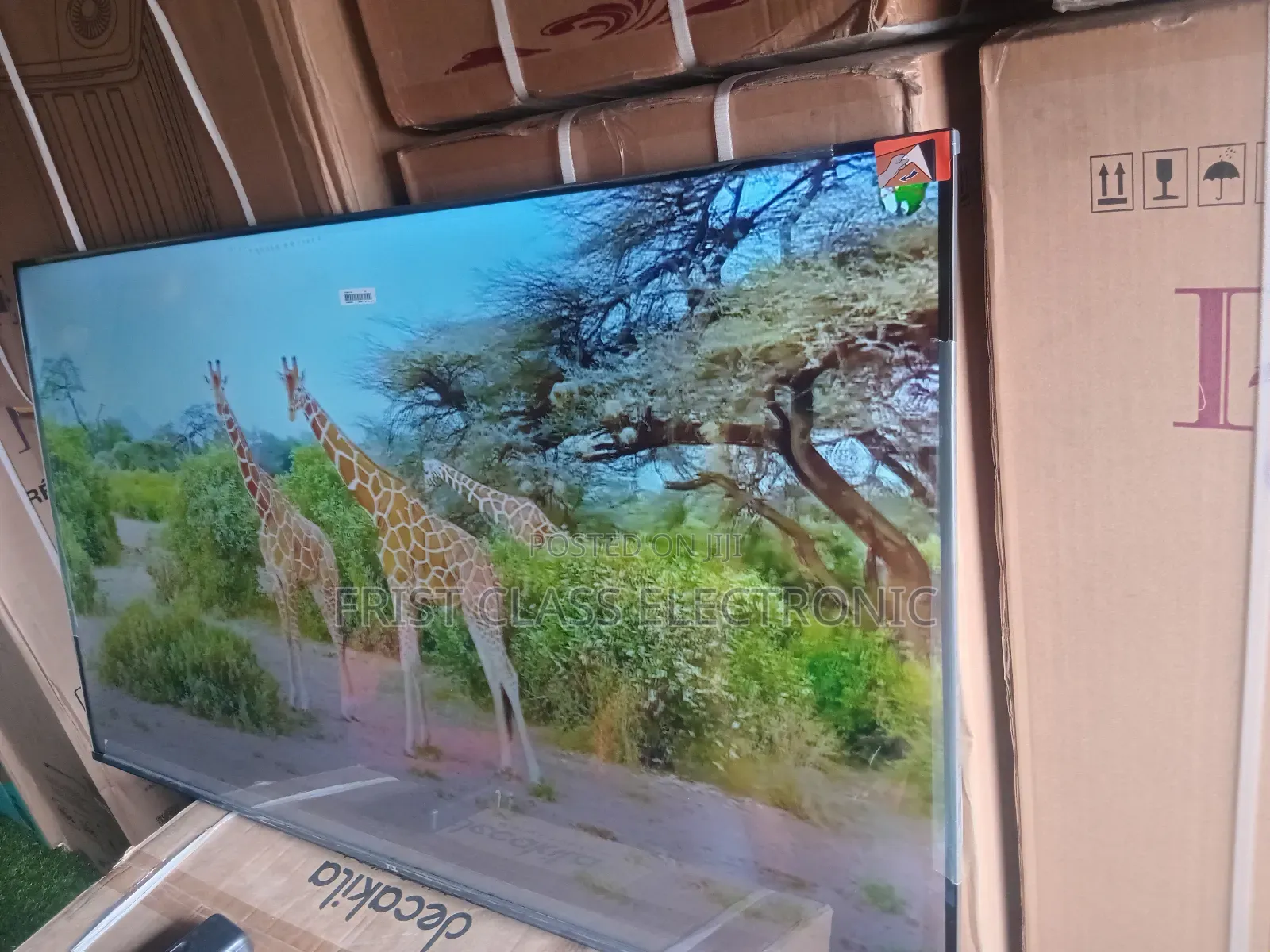 Watch, Stream, and Play on the Big TCL 55” Screen.